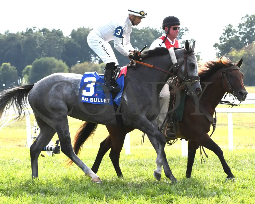 Ag Bullet - The Exacta Systems Ladies Turf Sprint G2 08-31-24 R09 Kd Post Parade 02 Kentucky Downs
