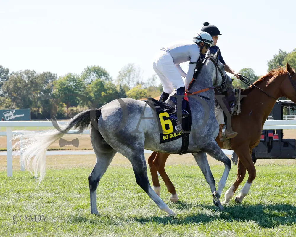 AG BULLET The Exacta Systems Ladies Turf Sprint G2 08 31 24 R09 Post Parade 01 Kentucky Downs