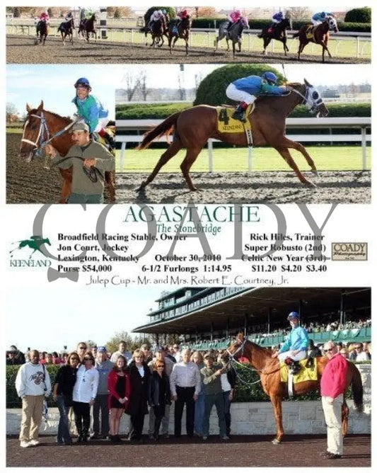 Agastache - The Stonebridge Keeneland