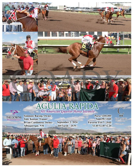 Agulia Rapida - All American Quarter Horse Juvenile 09-02-24 R07 Alb Downs At Albuquerque