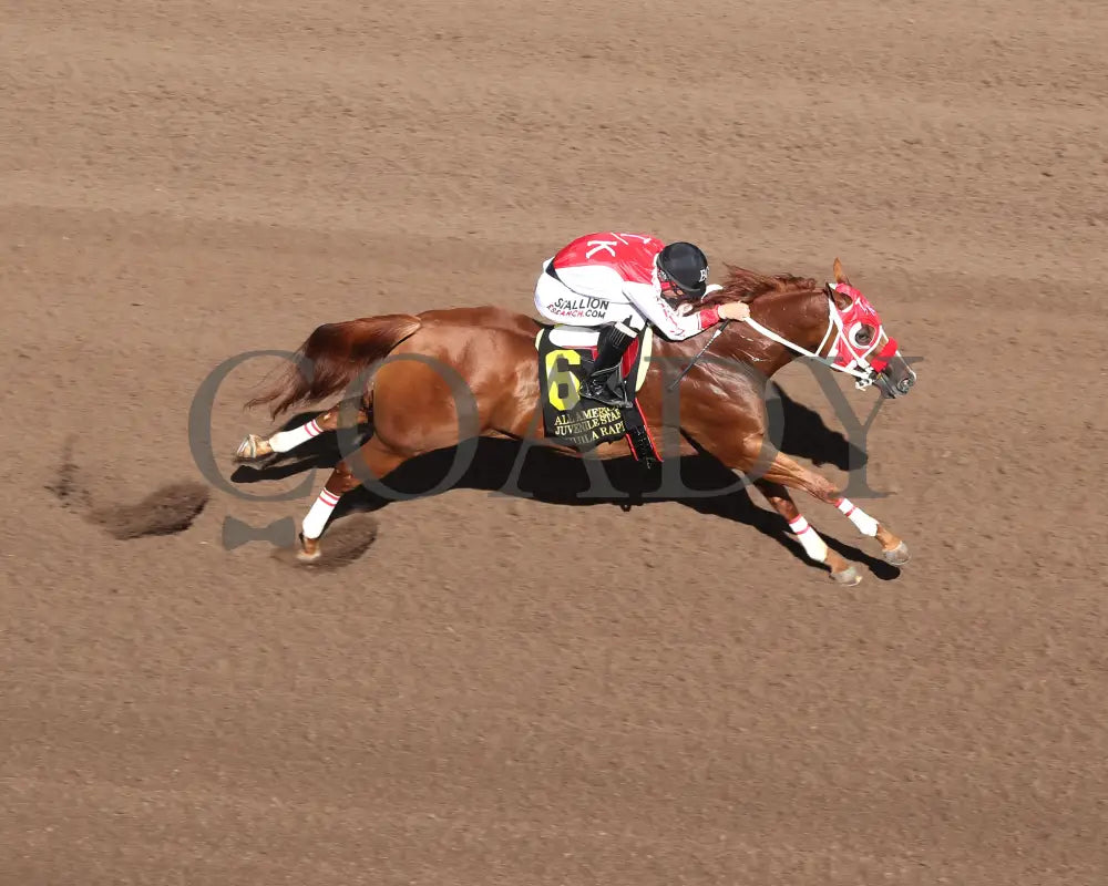 Agulia Rapida - All American Quarter Horse Juvenile 09-02-24 R07 The Downs At Albuquerque Aerial