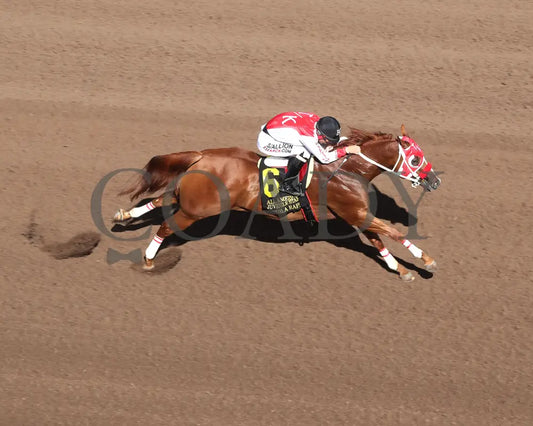 Agulia Rapida - All American Quarter Horse Juvenile 09-02-24 R07 The Downs At Albuquerque Aerial