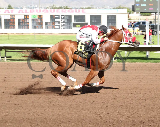 Agulia Rapida - All American Quarter Horse Juvenile 09-02-24 R07 The Downs At Albuquerque Finish 01