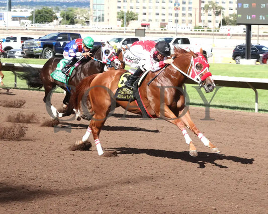 Agulia Rapida - All American Quarter Horse Juvenile 09-02-24 R07 The Downs At Albuquerque Finish 02