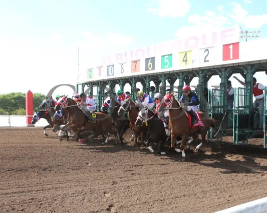 Agulia Rapida - All American Quarter Horse Juvenile 09-02-24 R07 The Downs At Albuquerque Gate