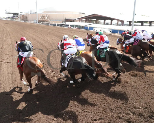 Agulia Rapida - All American Quarter Horse Juvenile 09-02-24 R07 The Downs At Albuquerque Gate