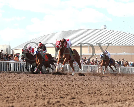 Agulia Rapida - All American Quarter Horse Juvenile 09-02-24 R07 The Downs At Albuquerque Under