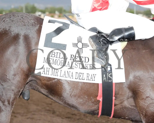 Ah Mr Lana Del Ray - Bill Reed Memorial S. 08-31-24 R11 Alb Action Shot 1 Downs At Albuquerque