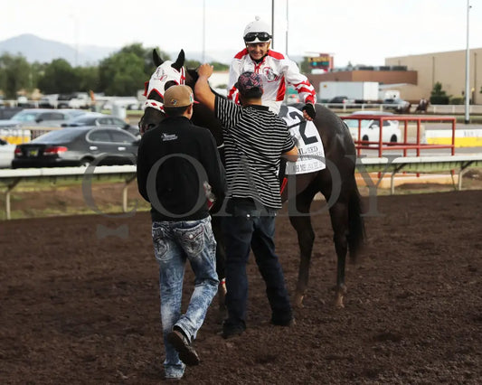 Ah Mr Lana Del Ray - Bill Reed Memorial S. 08-31-24 R11 Alb Action Shot 2 Downs At Albuquerque