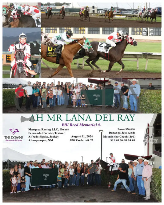 Ah Mr Lana Del Ray - Bill Reed Memorial S. 08-31-24 R11 Alb Downs At Albuquerque