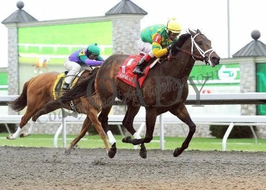 Aikenite - Fin 2 The Commonwealth Gr Ii 25Th R Keeneland