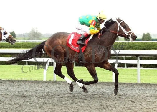 Aikenite - Finish The Commonwealth Gr Ii 25Th Keeneland