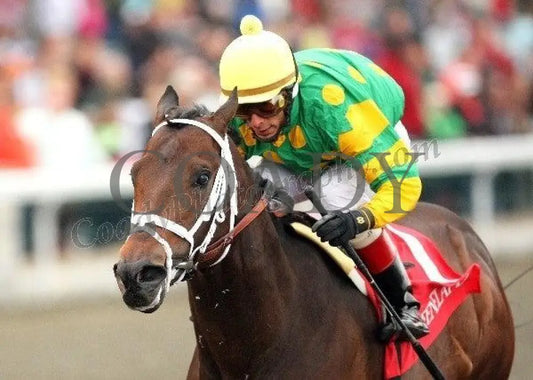 Aikenite - Inside Finish The Commonwealth Gr Ii Keeneland