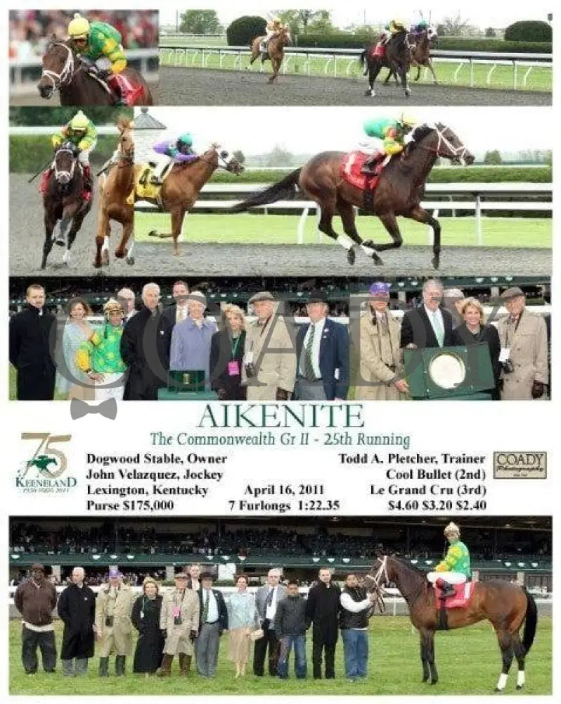Aikenite - The Commonwealth Gr Ii 25Th Running Keeneland
