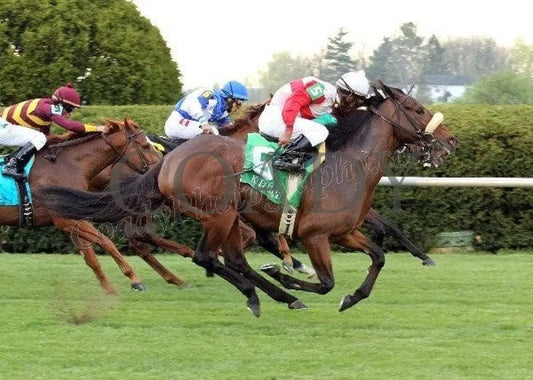 Air Support - Finish The Transylvania Gr. Iii Keeneland