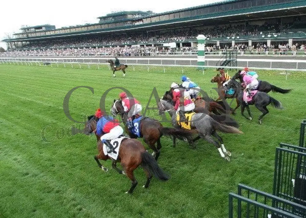 Air Support - Gate Shot The Transylvania Gr. Iii Keeneland