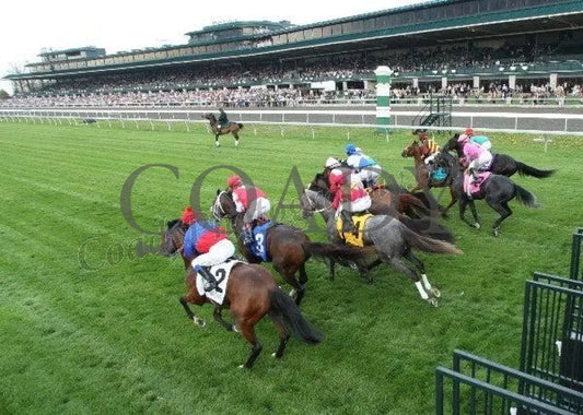 Air Support - Gate Shot The Transylvania Gr. Iii Keeneland