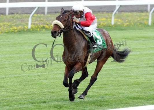 Air Support - Inside Finish 1 The Transylvania G Keeneland