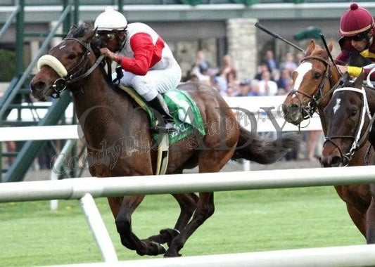 Air Support - Inside Finish 2 The Transylvania G Keeneland