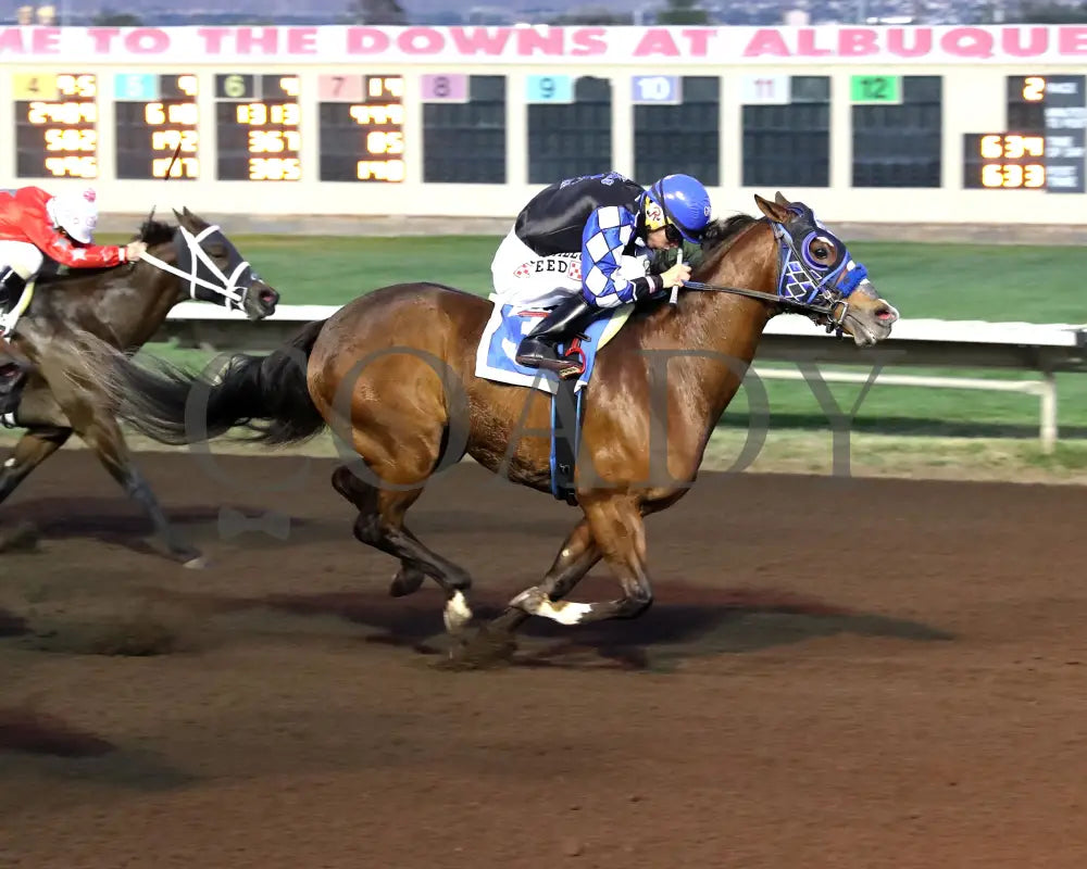 AJ FLAWLESS - The Lobo Derby - 10-18-25 - R02 - The Downs at Albuquerque - Finish 01 Downs at Albuquerque
