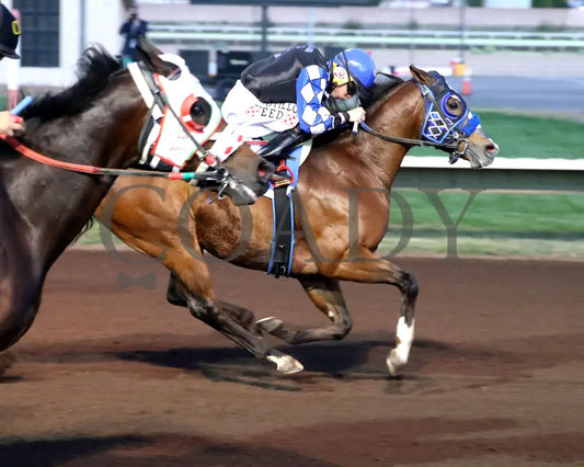 AJ FLAWLESS - The Lobo Derby  - 10-18-25 - R02 - The Downs at Albuquerque - Finish 01 - Coady Media - Kurtis Coady Photography