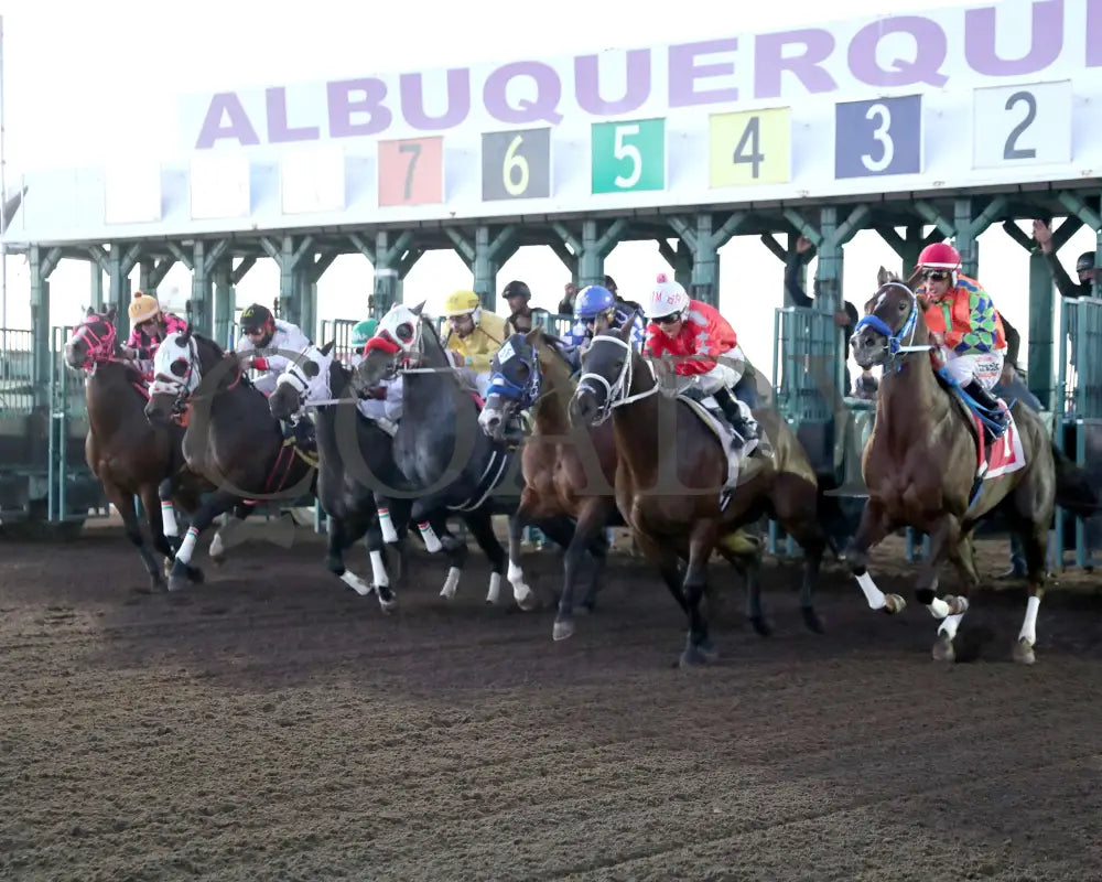 AJ FLAWLESS - The Lobo Derby - 10-18-25 - R02 - The Downs at Albuquerque - Presentation 01 Downs at Albuquerque