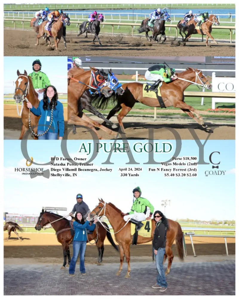 Aj Pure Gold - 04 - 24 - 24 R09 Ind Indiana Grand