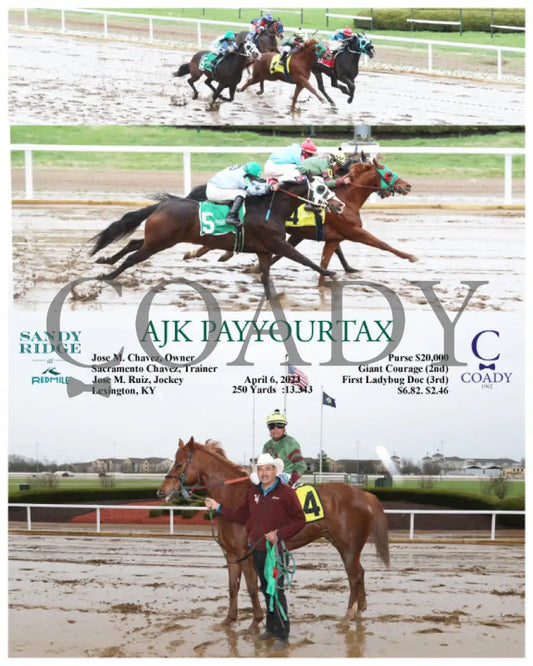 Ajk Payyourtax - 04-06-23 R03 Srm Photograph