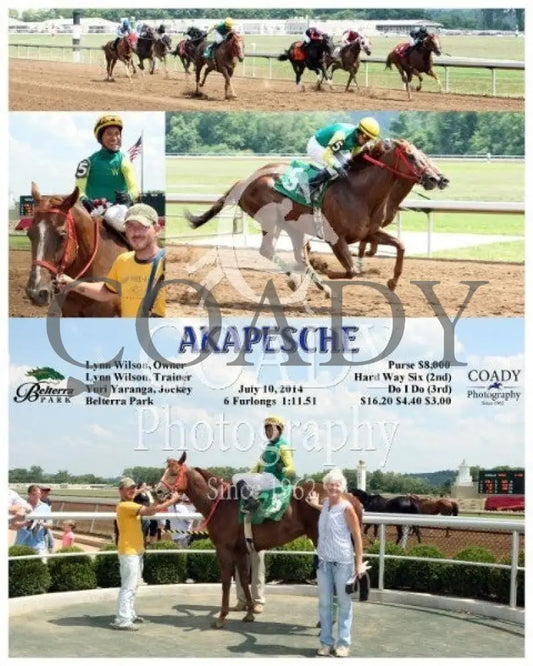 Akapesche - 071014 Race 05 Btp Belterra Park