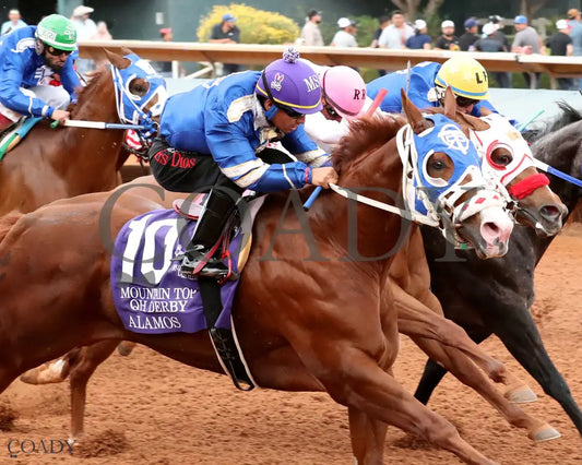 ALAMOS - Mountain Top Quarter Horse Derby - 06-14-25 - R10 - Ruidoso Downs - Finish 02 - Mark Flanders Ruidoso Downs