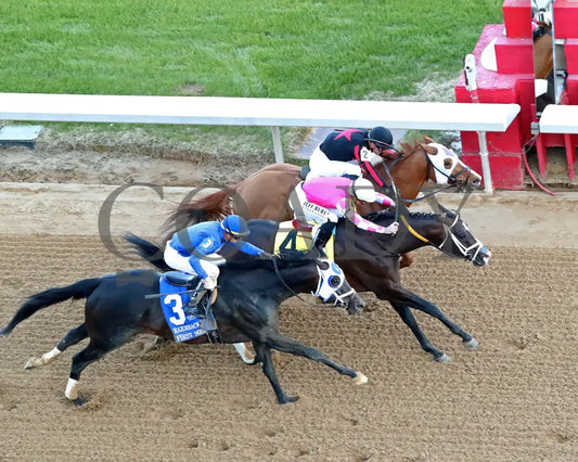 ALEXANDER HELIOS - 022325 - Race 10 - OP The Razorback Handicap G3 -Aerial Finish 01 Oaklawn Park