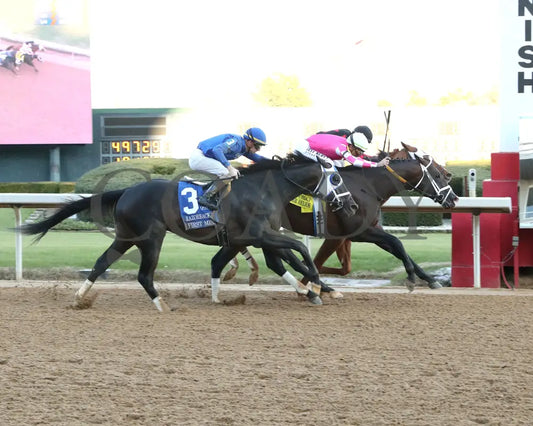 ALEXANDER HELIOS - 022325 - Race 10 - OP The Razorback Handicap G3 - Finish 01 Oaklawn Park