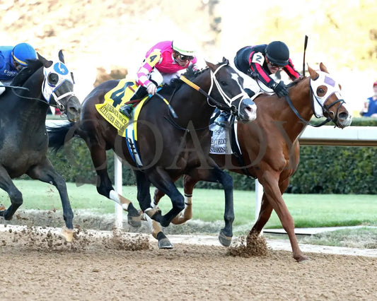 ALEXANDER HELIOS - 022325 - Race 10 - OP The Razorback Handicap G3 - Finish 02 Oaklawn Park