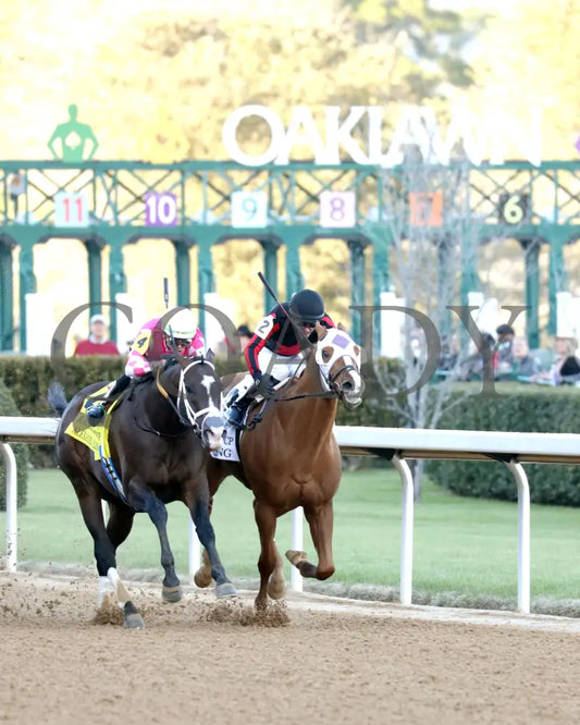 ALEXANDER HELIOS - 022325 - Race 10 - OP The Razorback Handicap G3 - Finish 03 Oaklawn Park