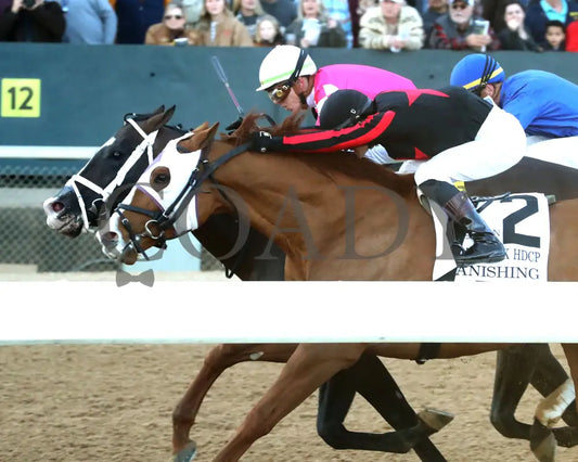 ALEXANDER HELIOS - 022325 - Race 10 - OP The Razorback Handicap G3 - Inside Finish 01 Oaklawn Park
