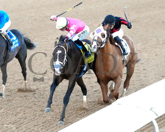 ALEXANDER HELIOS - 022325 - Race 10 - OP The Razorback Handicap G3 - Inside Finish 02 Oaklawn Park