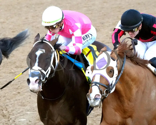 ALEXANDER HELIOS - 022325 - Race 10 - OP The Razorback Handicap G3 - Inside Finish 03 Oaklawn Park