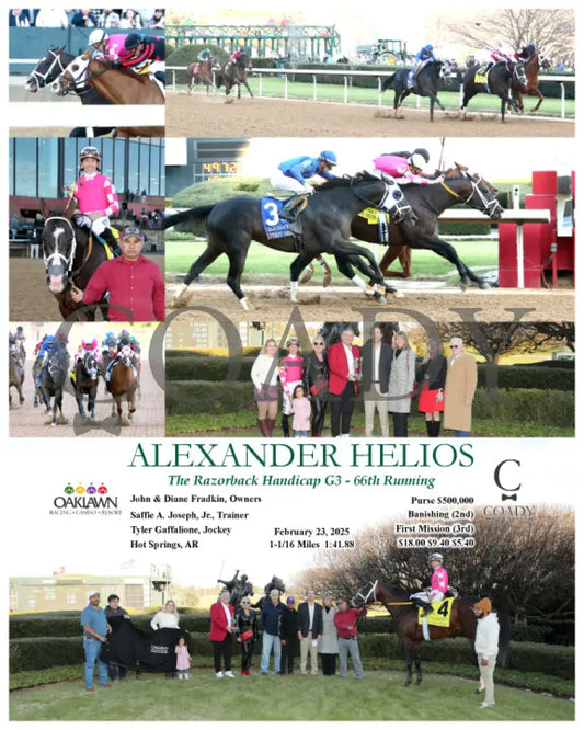 ALEXANDER HELIOS - 022325 - Race 10 - OP The Razorback Handicap G3 Oaklawn Park