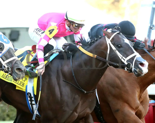 ALEXANDER HELIOS - 022325 - Race 10 - OP The Razorback Handicap G3 - Tight Finish 01 Oaklawn Park