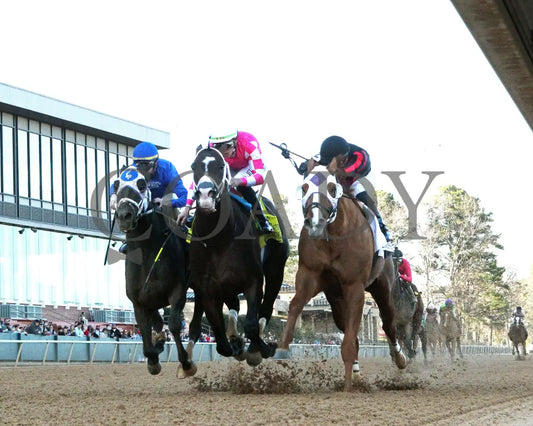 ALEXANDER HELIOS - 022325 - Race 10 - OP The Razorback Handicap G3 - Under Rail 01 Oaklawn Park