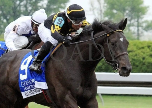 All Squared Away - 042112 Race 09 Tight Fin Keeneland