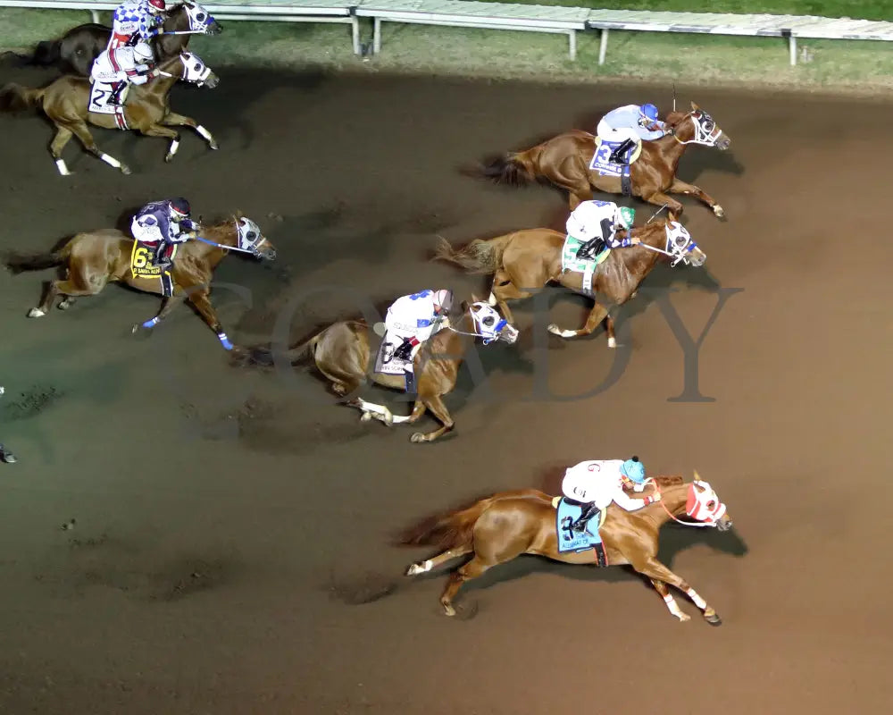 ALLIEKAT DYNASTY - The Cox Ranch Distaff Challenge Championship Gl - 10-18-25 - R07 - ALB - Coady Media - Kurtis Coady Photography