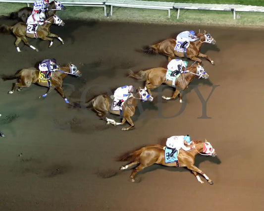 ALLIEKAT DYNASTY - The Cox Ranch Distaff Challenge Championship Gl - 10-18-25 - R07 - ALB - Coady Media - Kurtis Coady Photography
