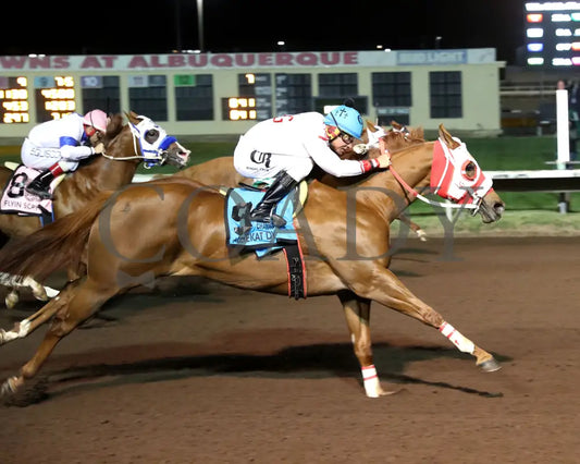 ALLIEKAT DYNASTY - The Cox Ranch Distaff Challenge Championship Gl - 10-18-25 - R07 - The Downs at Albuquerque - Aerial