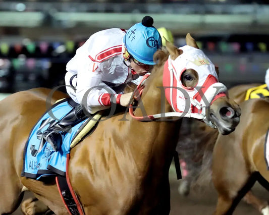 ALLIEKAT DYNASTY - The Cox Ranch Distaff Challenge Championship Gl - 10-18-25 - R07 - The Downs at Albuquerque - Finish