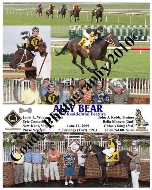 Ally Bear - Beacon Residential Feature 6 12 Colonial Downs