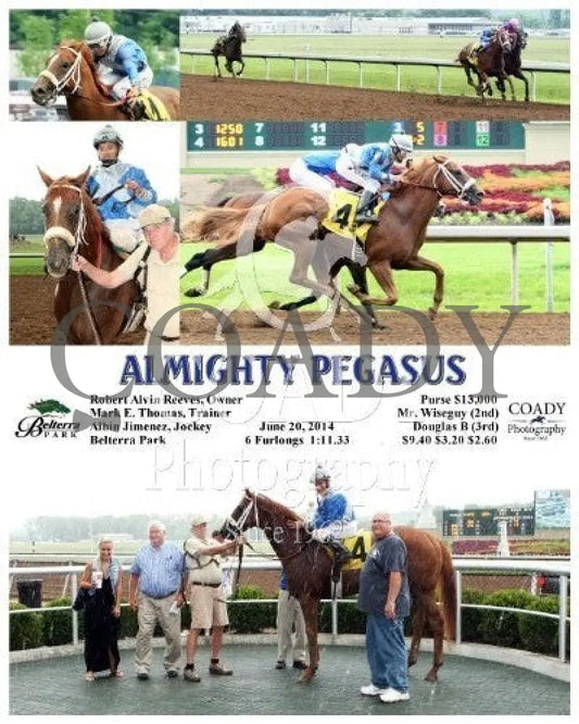 Almighty Pegasus - 062014 Race 02 Btp Belterra Park