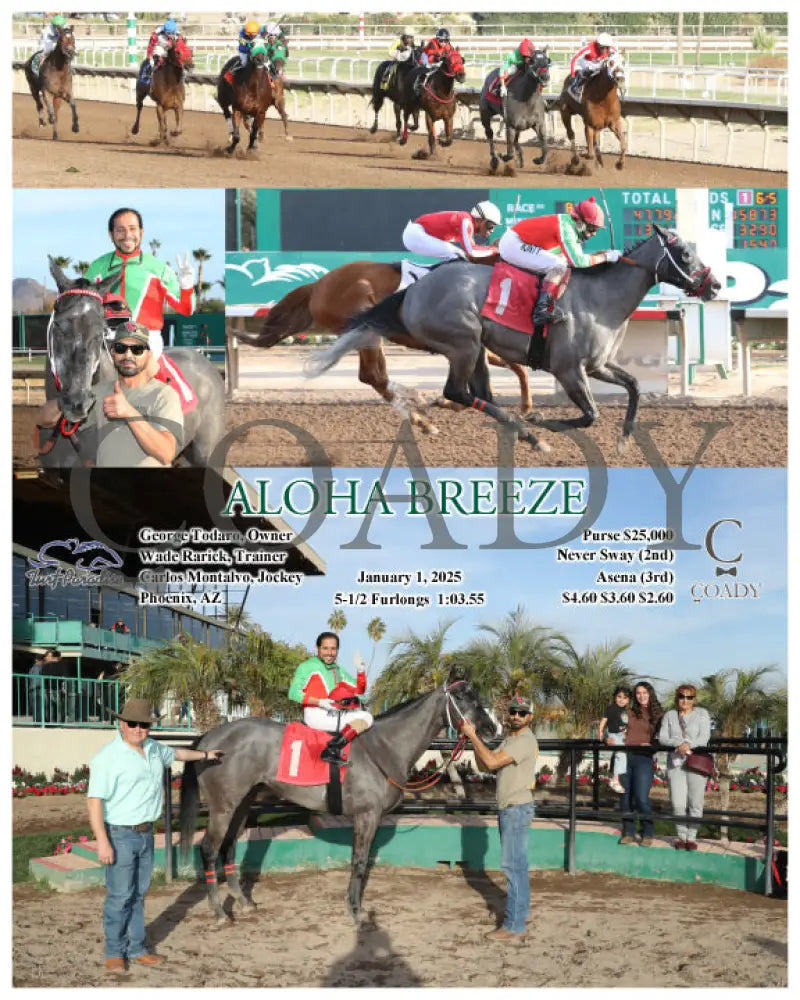 Aloha Breeze - 01-01-25 R08 Tup Turf Paradise
