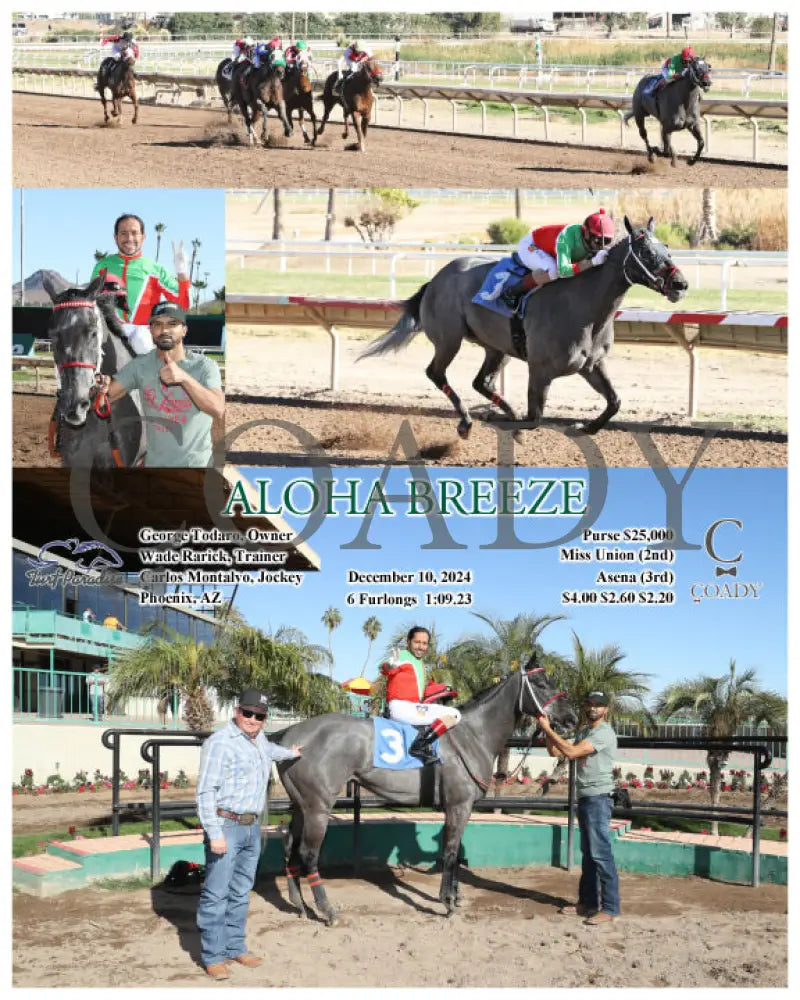 Aloha Breeze - 12-10-24 R04 Tup Turf Paradise