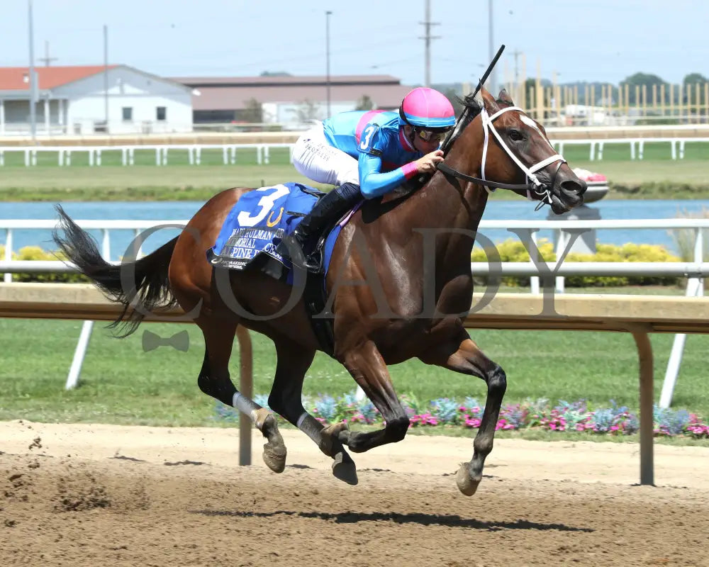 ALPINE PRINESS - Mari Hulman George Memorial - 07-05-25 - R06 - Horseshoe Indiana - Finish 02 - Ashleigh Schlitt